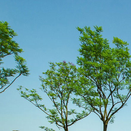 綜合體作品案例展示