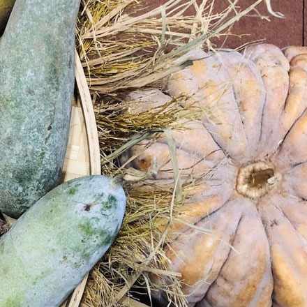 圖書館導視標識設(shè)計