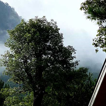 冬奧標(biāo)識設(shè)計(jì)公司招聘