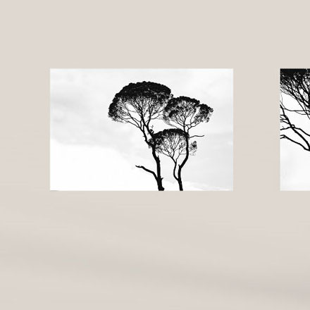 度假村景區作品案例展示