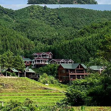 布迪設(shè)計(jì)