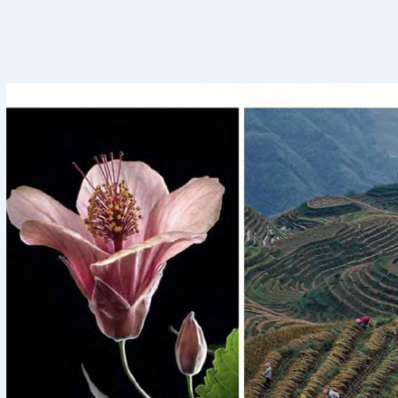 度假村景區作品案例展示